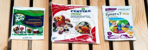 Лучшие корзины для посадки луковичных растений: как выбрать и использовать 12