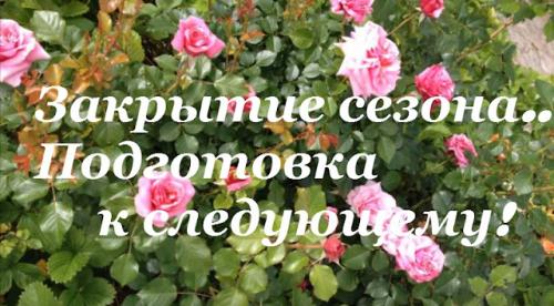 Подготовка дачи к зиме природное земледелие. ЗАКРЫТИЕ СЕЗОНА В ПРИРОДНОМ ЗЕМЛЕДЕЛИИ!