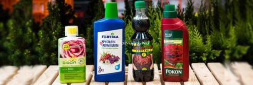 Лучшие корзины для посадки луковичных растений: как выбрать и использовать 13