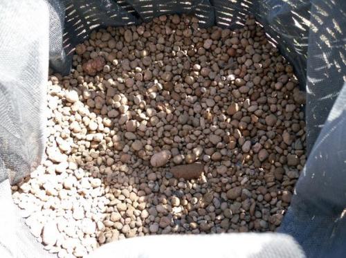 Какие растения можно выращивать в корзине для посадки. Корзинка с петуниями