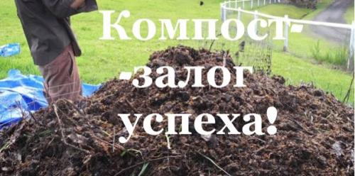 Подготовка дачи к зиме природное земледелие. ЗАКРЫТИЕ СЕЗОНА В ПРИРОДНОМ ЗЕМЛЕДЕЛИИ!