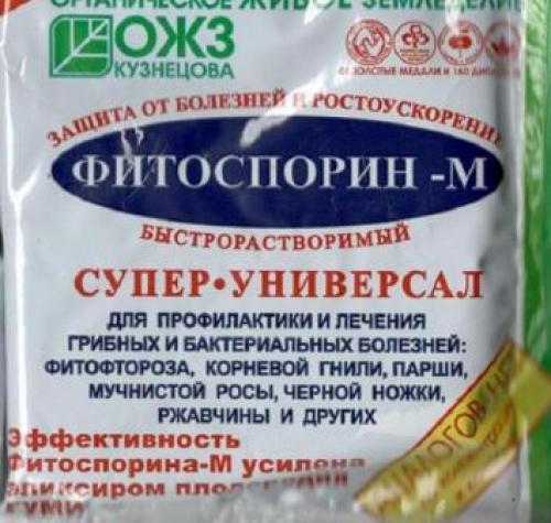 Подкормка жимолости летом. Как ухаживать и чем подкормить жимолость летом после сбора урожая