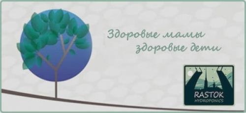 Укоренение черенков в воде: простой способ выращивания новых растений 14