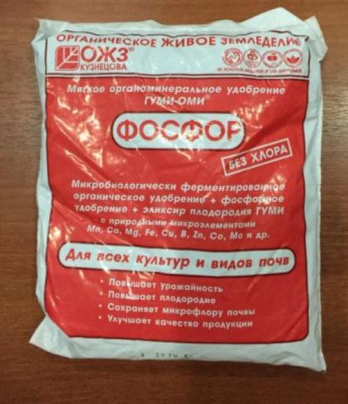 Чем подкормить жимолость летом. Чем подкормить жимолость