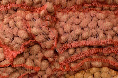 Какие условия необходимо создать, чтобы картошка не замерзала в почве. Создаем условия