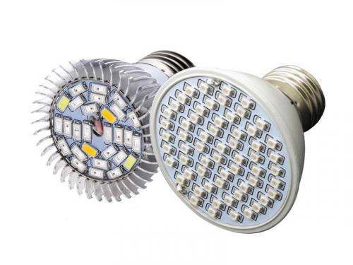 Как обеспечить достаточное освещение виноградного куста зимой. Светодиодная подсветка саженцев винограда. Часть 1