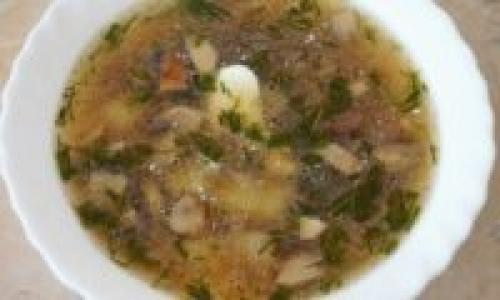 Что делать с грибами рядовками. Грибной суп из майских рядовок