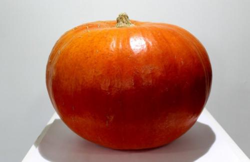 Тыква, каким цветом. Сорта твердокорой тыквы 25