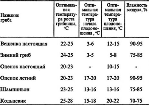 Как можно определить, что грибы начали расти после дождя. Дождь и другие факторы, влияющие на рост грибов