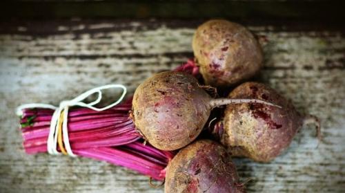 Какие факторы могут ухудшить способность свеклы выдерживать заморозки. Как хранить свеклу зимой в погребе?