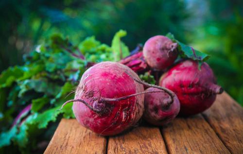 Секреты выживания свеклы в условиях заморозков 01 Секреты выживания свеклы в условиях заморозков 01