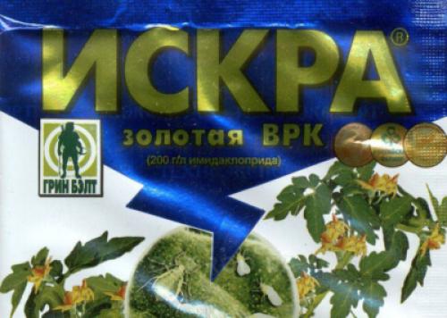 Перья лука желтеют, что делать. Почему у лука желтеют кончики перьев 04