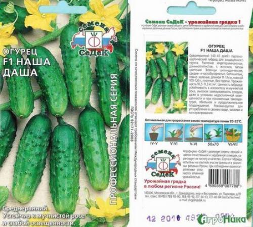 Лучшие сорта огурцов для Северо-Запада Ленинградской области. Огурцы для выращивания в теплицах 04