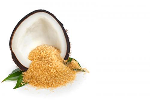 Стевия, что это такое выращивание. Выращивание стевии из семян 09