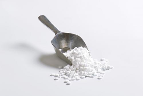 Стевия, что это такое выращивание. Выращивание стевии из семян 05