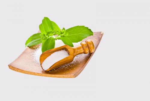 Стевия, что это такое выращивание. Выращивание стевии из семян 02