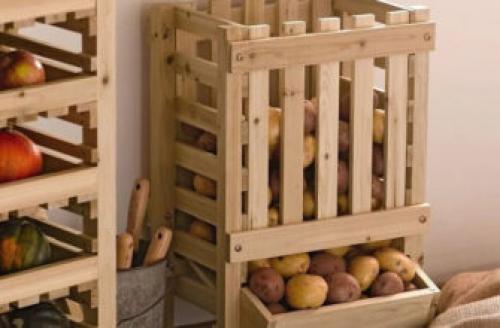 Когда снимать тыкву с грядки в сибири. Видео о том, когда следует убирать тыкву с огорода