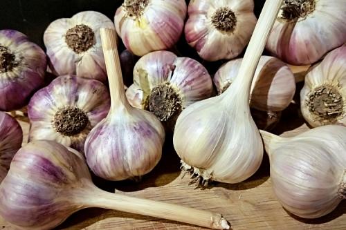 Как сохранить чеснок зимой, чтобы не высох. Главные советы и правила