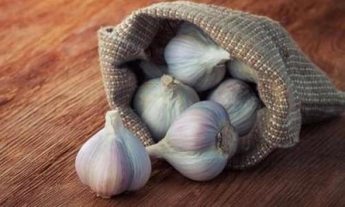 Как хранить чеснок в холодильнике. Неочищенный