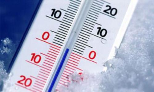 Сколько градусов мороза выдерживает МОРКОВЬ. При каких градусах хранить?