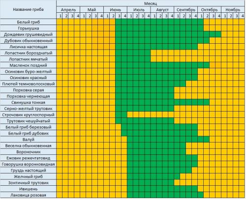 Грибной сезон 2023 когда пойдут грибы по календарю. Лунный календарь грибника на 2022 год