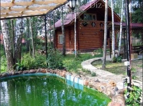 Можно ли обрезать макушку у березы и зачем это делать. Можно ли обрезать макушку у березы —, что делать с высоким деревом 06