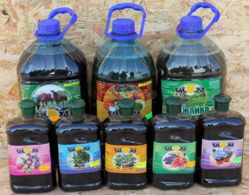 Чем лучше подкормить жимолость весной. Органические комплексные составы 07