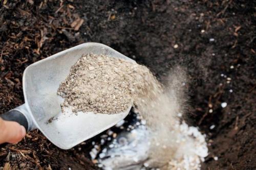 Чем лучше подкормить жимолость весной. Органические комплексные составы 08