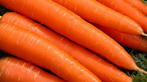 Морковь Детская радость. Среднеранний сорт моркови с повышенным содержанием каротина: Детская сладкая