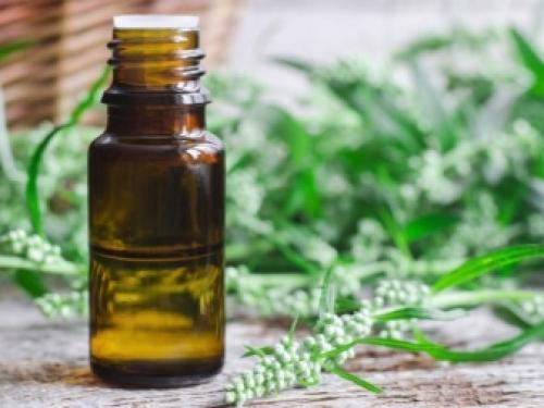 Как избавиться от мышей на участке навсегда. 07