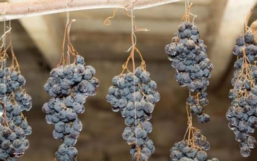 Длительное хранение свежего винограда. Где хранить