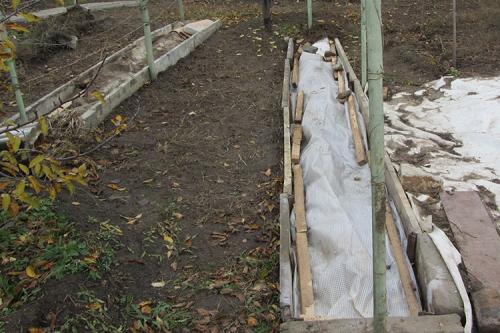 Сроки укрытия винограда на зиму. Все способы укрытия винограда на зиму + сроки для каждого региона