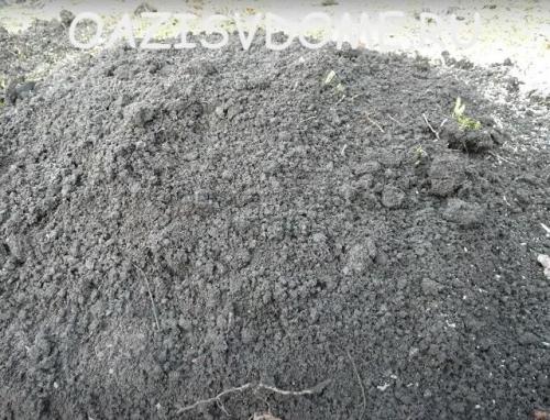 Как укрыть молодой виноград на зиму. Чем и как утеплить правильно: видео и инструкция