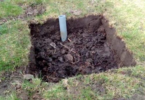 Как подготовить виноград к зиме в сибири. Посадка