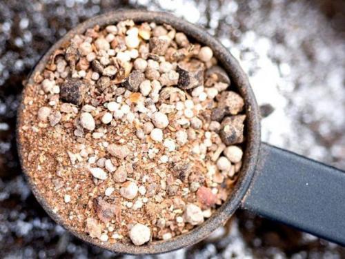 Как укрыть виноград на зиму правильно. Когда 07 Как укрыть виноград на зиму правильно. Когда 07