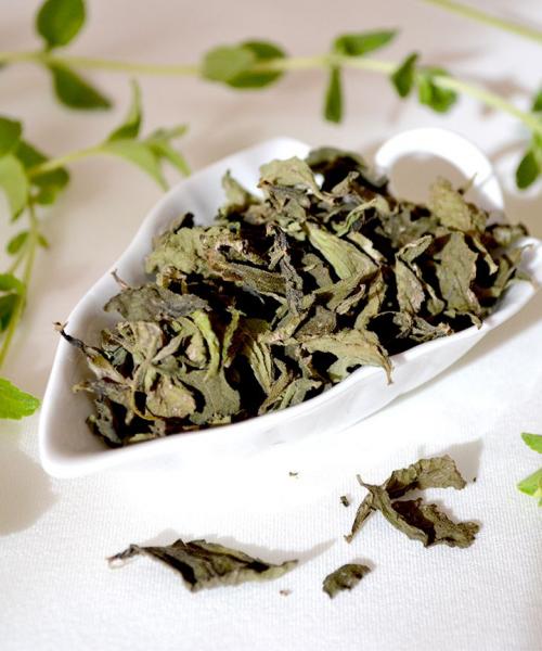 Выращивание стевии в домашних условиях: простой способ получить здоровый сахар 06 Выращивание стевии в домашних условиях: простой способ получить здоровый сахар 06