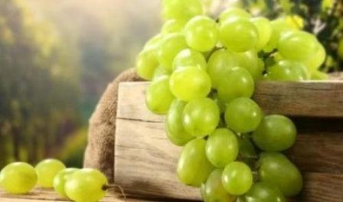 5 простых способов сохранить урожай винограда.. Где хранить урожай? 10