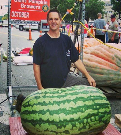 10 фактов о арбузе. 10 интересных фактов об арбузах 19