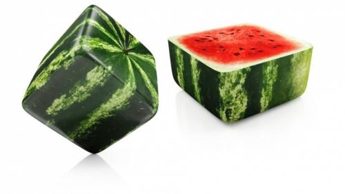 10 фактов о арбузе. 10 интересных фактов об арбузах 04