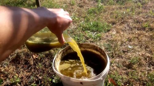 Арбузы дыни в теплице. Ароматные дыньки