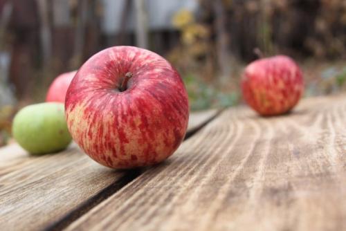 Как сохранить садовые яблоки. Метод 1 Метод 1 из 2: Краткосрочное хранение 13