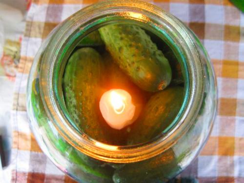 Как сохранить огурцы свежими до месяца. Грамотный подбор плодов 07