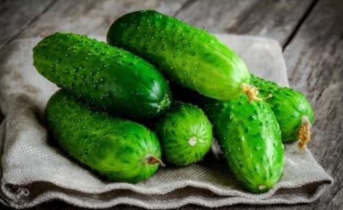 Как сохранить огурцы свежими до месяца. Грамотный подбор плодов 04 Как сохранить огурцы свежими до месяца. Грамотный подбор плодов 04