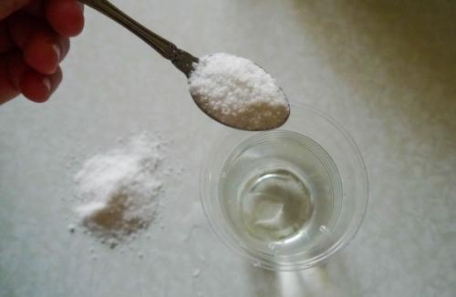 Как посадить арбуз. Как правильно сеять семена арбуза на рассаду