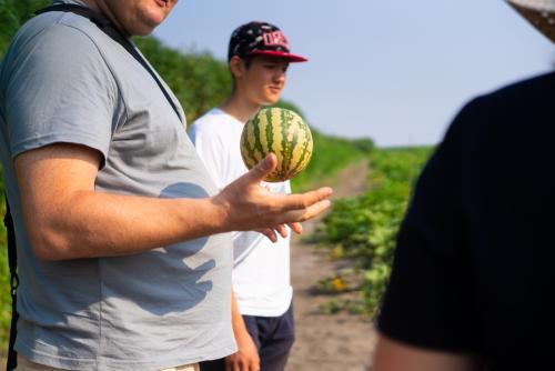 Астраханский арбуз википедия. Квадратные не берите. Что нужно знать об астраханском арбузе?