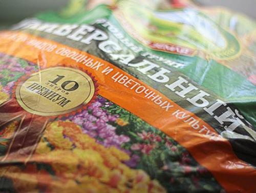 Как вырастить дома базилик. Что понадобится для выращивания базилика