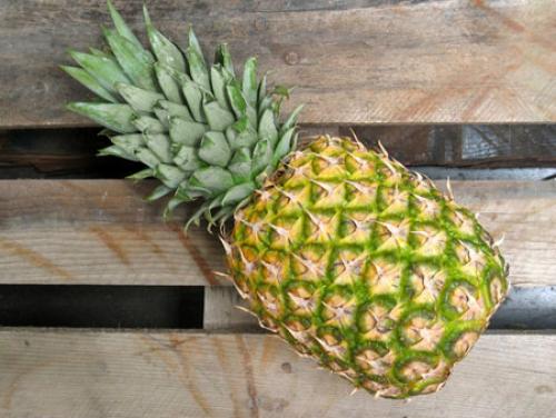 Как вырастить дома ананас. Как вырастить ананас из верхушки в домашних условиях?
