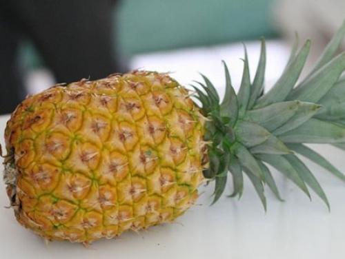 Как вырастить дома ананас. Как вырастить ананас из верхушки в домашних условиях?
