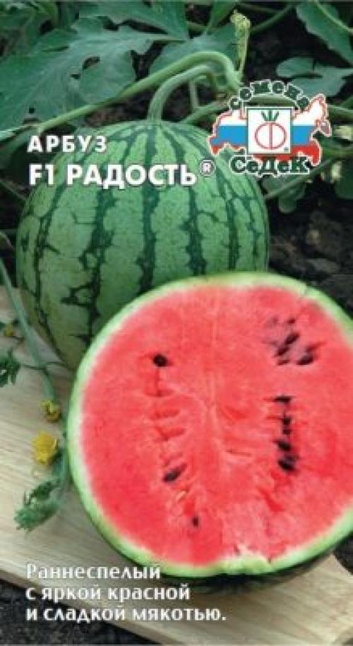 Как вырастить арбуз и дыню в средней полосе России. Лучшие сорта арбузов для средней полосы
