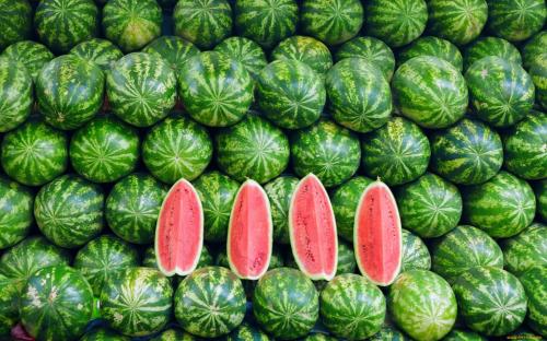Крупные сорта арбузов. Самые вкусные арбузы и описание